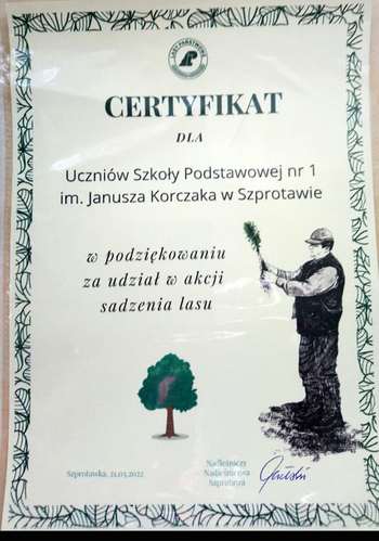 sadze3